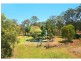 226 Guanaba Creek Road, Guanaba QLD 4210