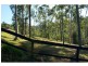 134 Crane Crescent, Nerang QLD 4211