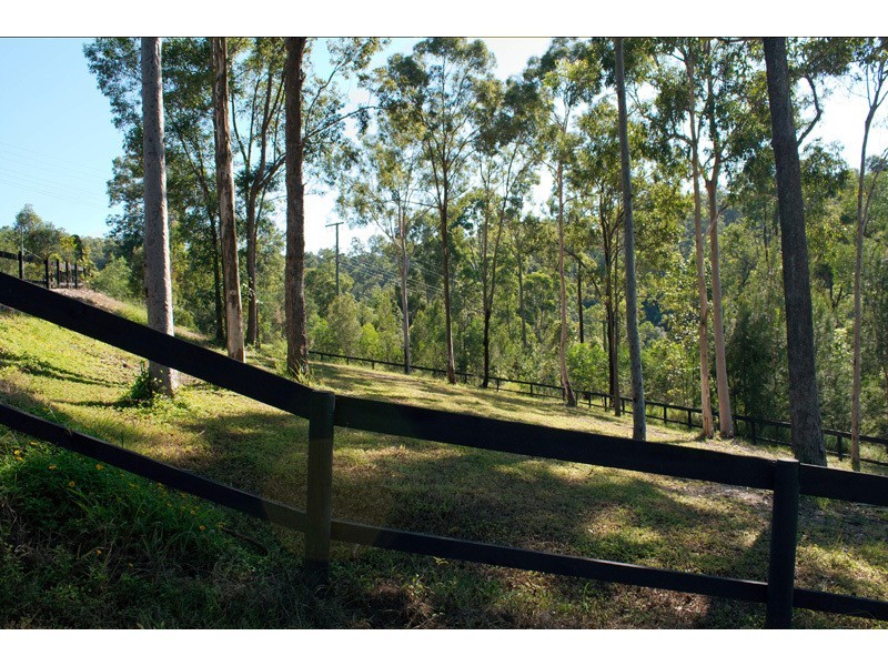 134 Crane Crescent, Nerang QLD 4211