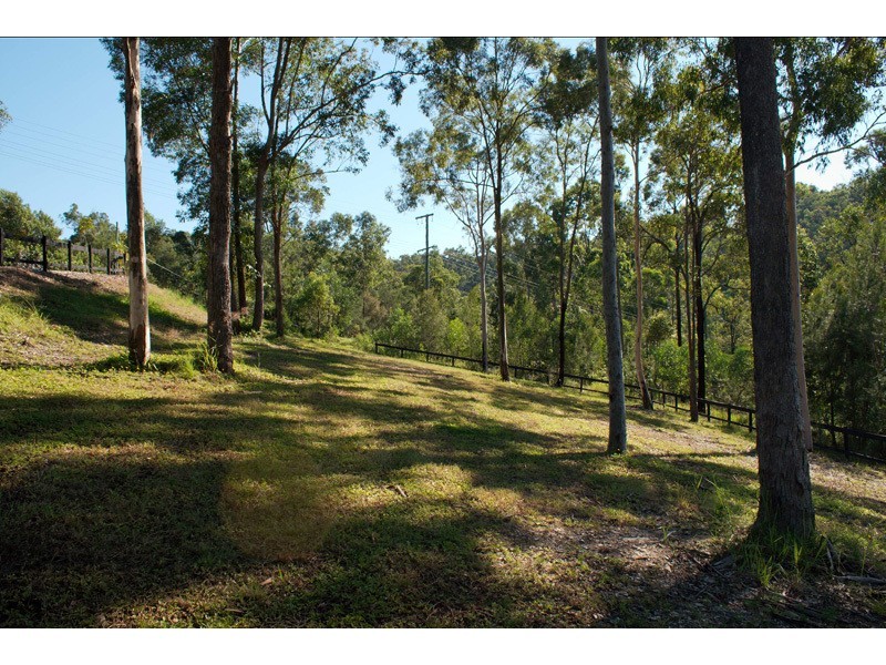 134 Crane Crescent, Nerang QLD 4211