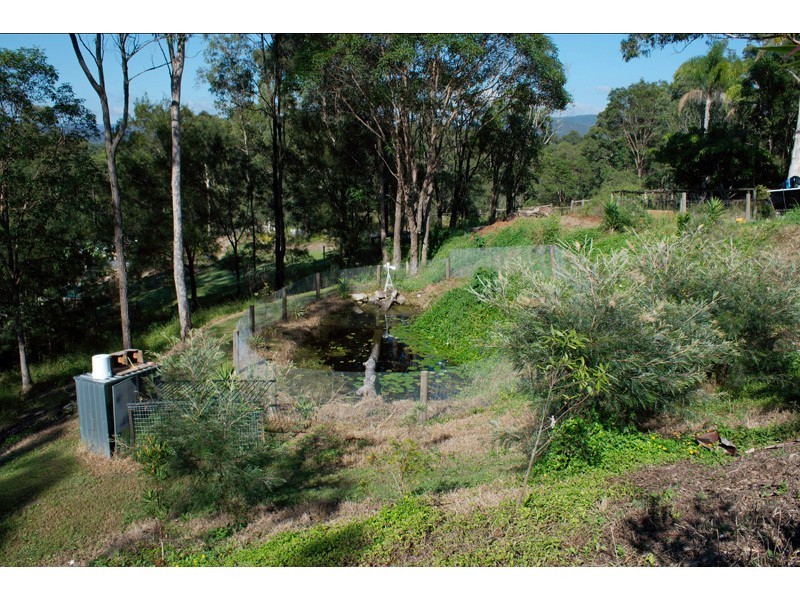 134 Crane Crescent, Nerang QLD 4211