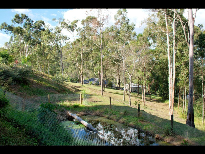 134 Crane Crescent, Nerang QLD 4211