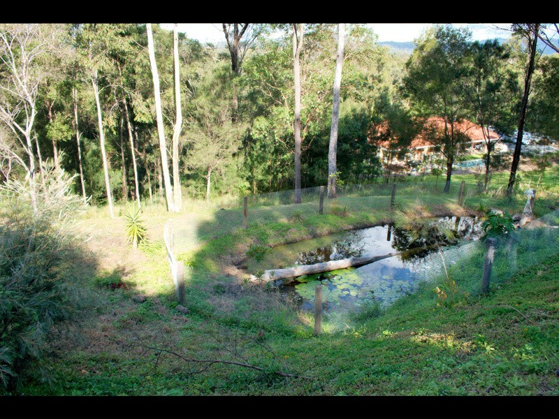 134 Crane Crescent, Nerang QLD 4211