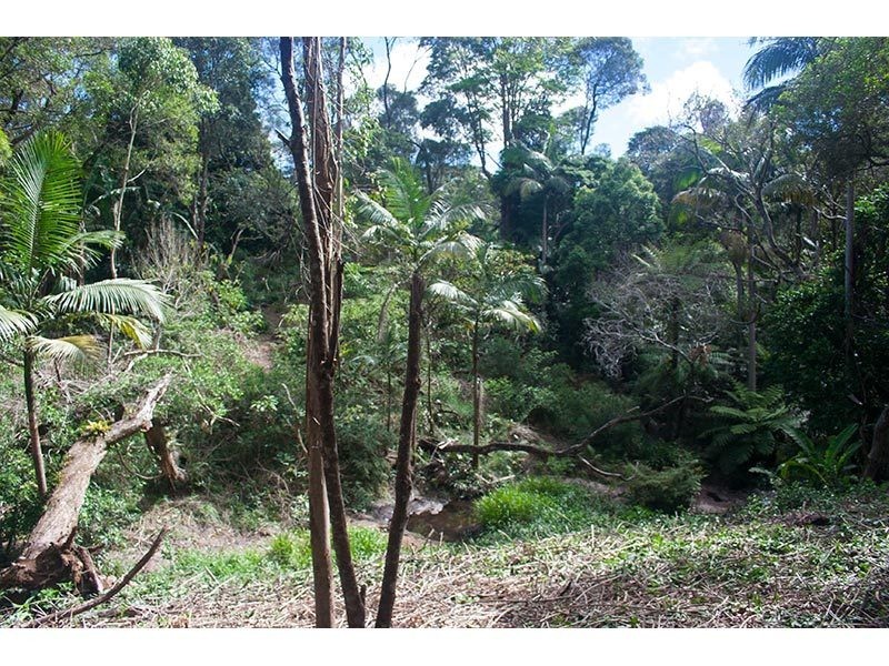 2289 Springbrook Road, Springbrook QLD 4213