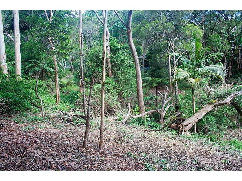 2289 Springbrook Road, Springbrook QLD 4213