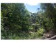 2289 Springbrook Road, Springbrook QLD 4213