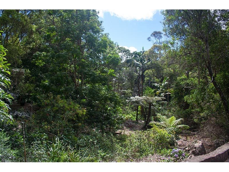 2289 Springbrook Road, Springbrook QLD 4213