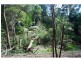 2289 Springbrook Road, Springbrook QLD 4213
