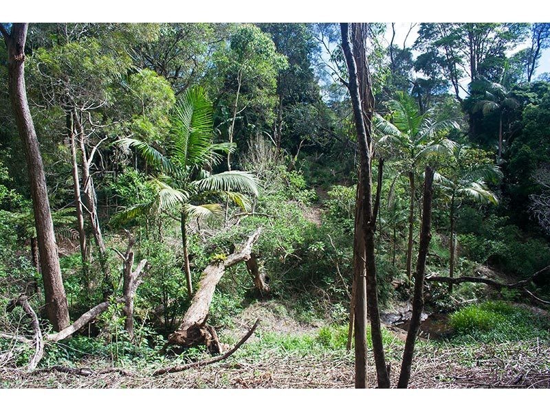 2289 Springbrook Road, Springbrook QLD 4213