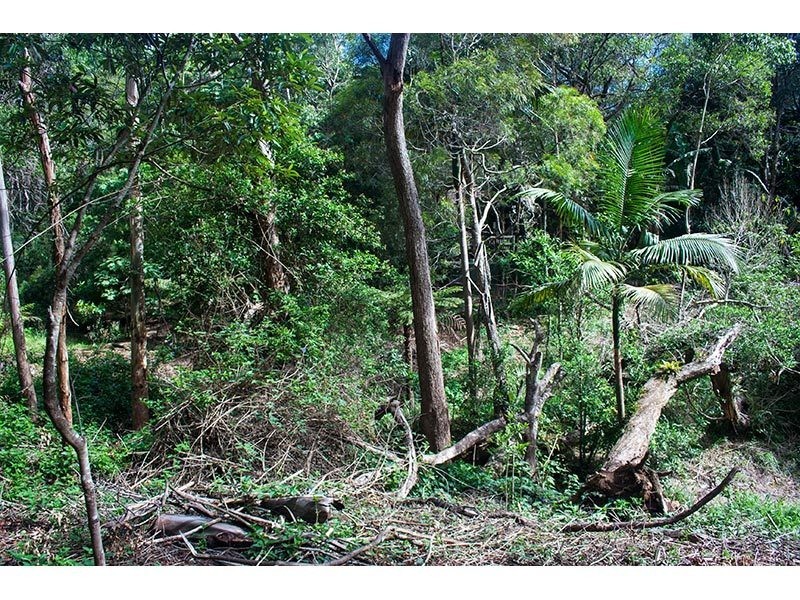2289 Springbrook Road, Springbrook QLD 4213