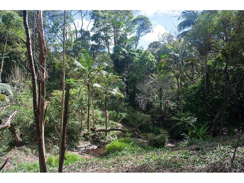 2289 Springbrook Road, Springbrook QLD 4213