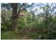 2289 Springbrook Road, Springbrook QLD 4213