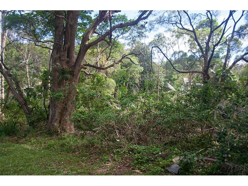 2289 Springbrook Road, Springbrook QLD 4213