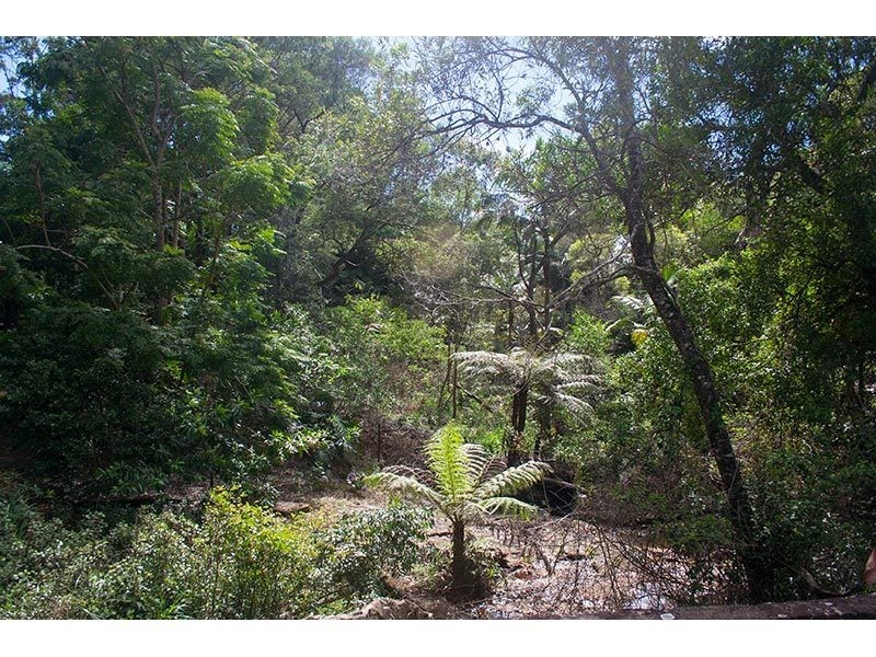 2289 Springbrook Road, Springbrook QLD 4213