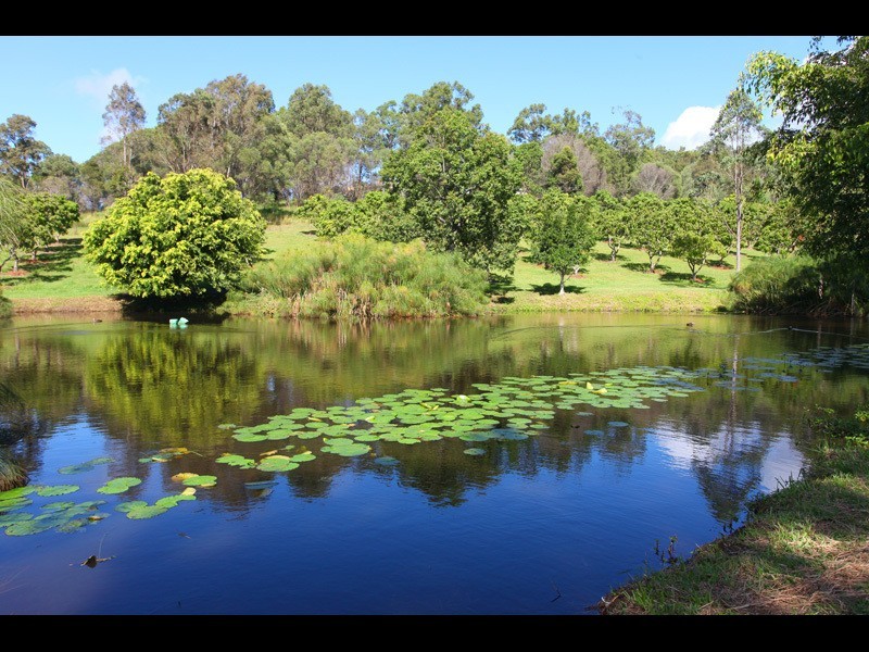 259 Guanaba Creek Road, Guanaba QLD 4210