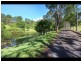 259 Guanaba Creek Road, Guanaba QLD 4210