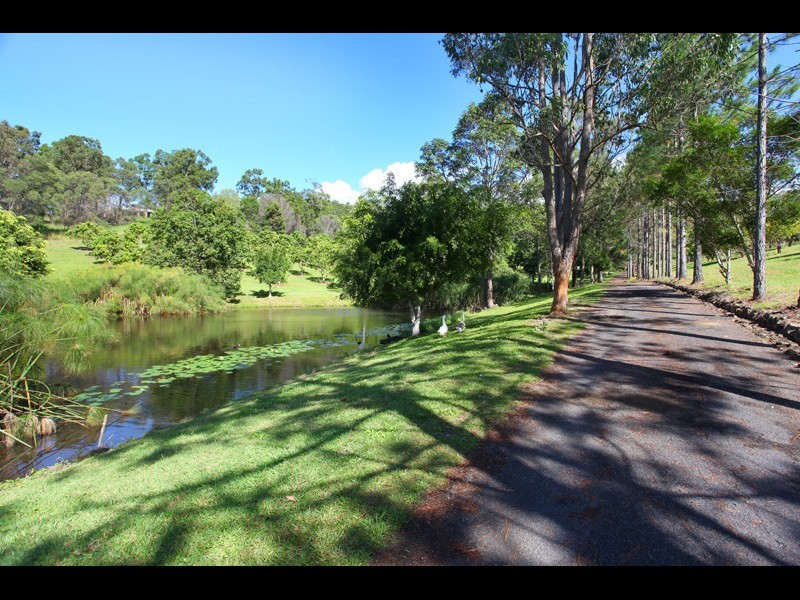 259 Guanaba Creek Road, Guanaba QLD 4210