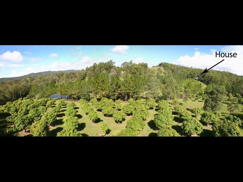 259 Guanaba Creek Road, Guanaba QLD 4210