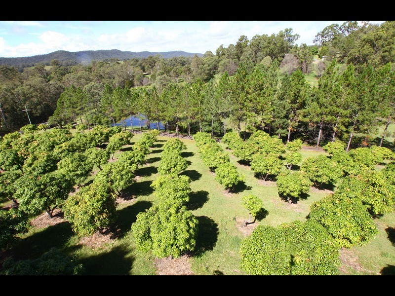 259 Guanaba Creek Road, Guanaba QLD 4210