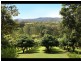 259 Guanaba Creek Road, Guanaba QLD 4210