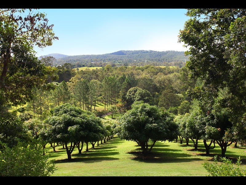 259 Guanaba Creek Road, Guanaba QLD 4210