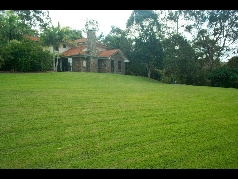 65 Birdlife Court, Nerang QLD 4211