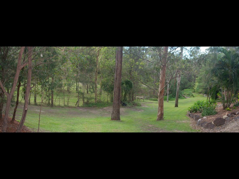 65 Birdlife Court, Nerang QLD 4211