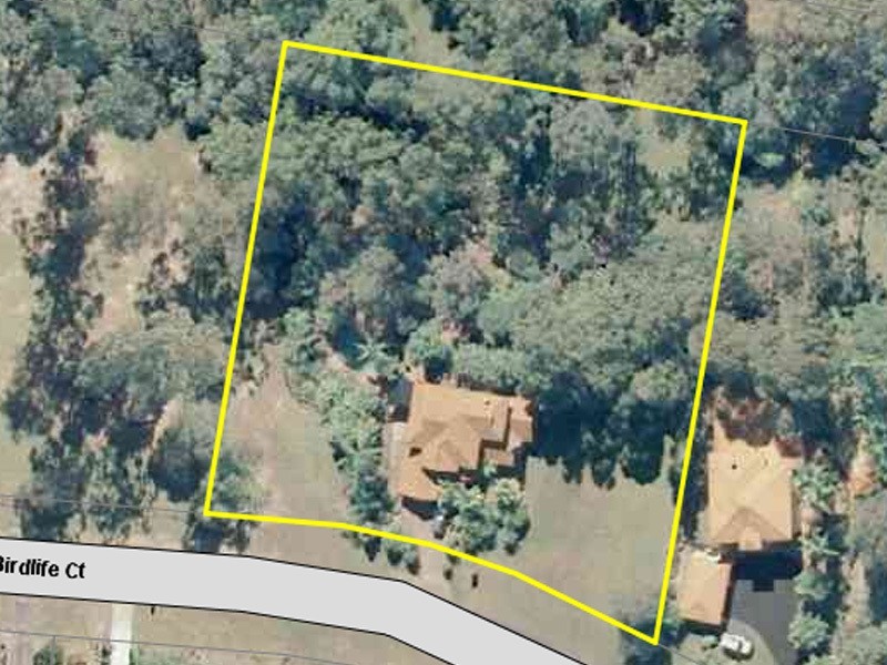 65 Birdlife Court, Nerang QLD 4211