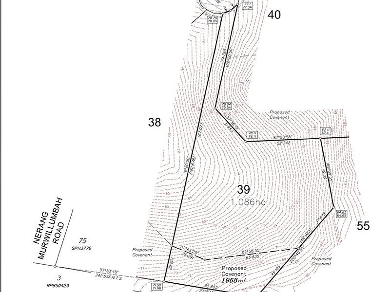 Lot 39 Hidden Woods Estate Nerang Murwillumbah Road, Advancetown QLD 4211