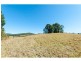Lot 39 Hidden Woods Estate Nerang Murwillumbah Road, Advancetown QLD 4211