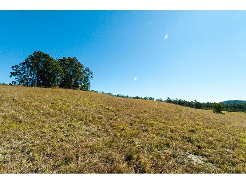Lot 39 Hidden Woods Estate Nerang Murwillumbah Road, Advancetown QLD 4211