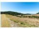 Lot 42/Hidden Woods Estate Nerang Murwillumbah Road, Advancetown QLD 4211