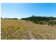 Lot 42/Hidden Woods Estate Nerang Murwillumbah Road, Advancetown QLD 4211
