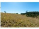 Lot 42/Hidden Woods Estate Nerang Murwillumbah Road, Advancetown QLD 4211