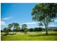Lot 42/Hidden Woods Estate Nerang Murwillumbah Road, Advancetown QLD 4211