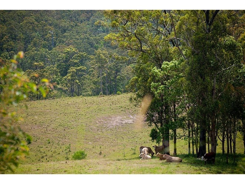 Lot 47/Hidden Woods Estate Nerang Murwillumbah Road, Advancetown QLD 4211