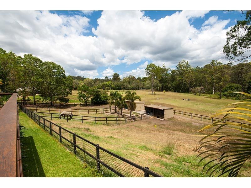 10 Birdlife Court, Nerang QLD 4211