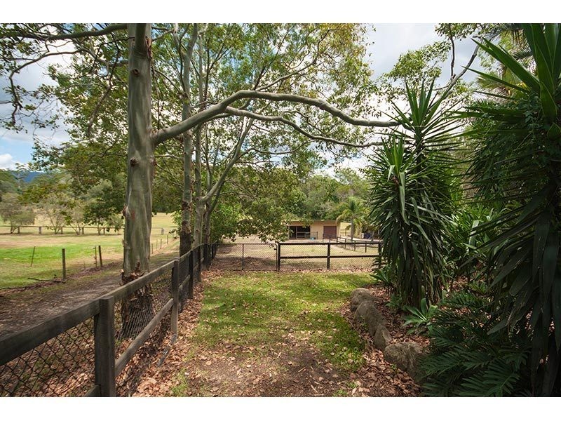 10 Birdlife Court, Nerang QLD 4211