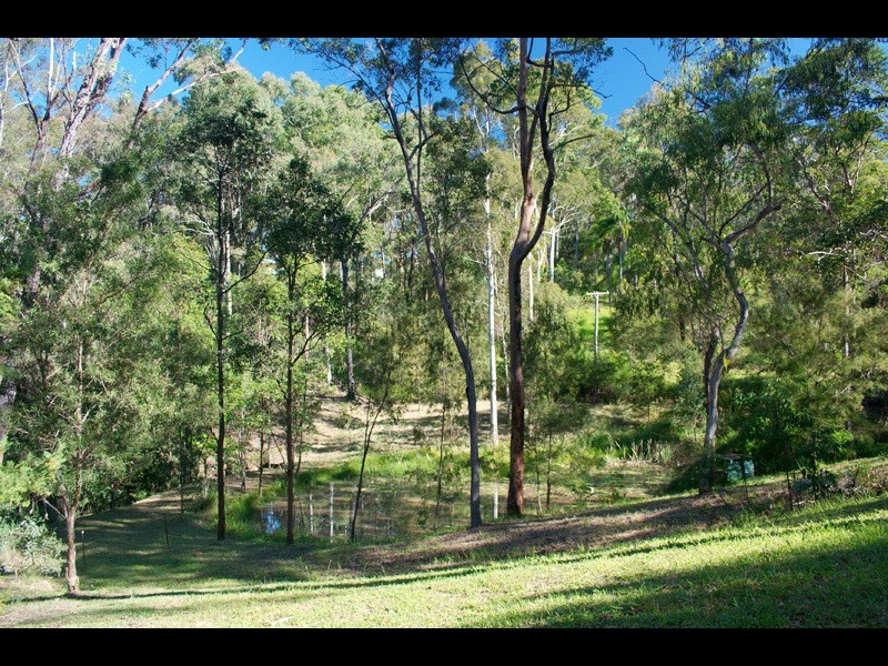 34 Coolibah Road, Gaven QLD 4211