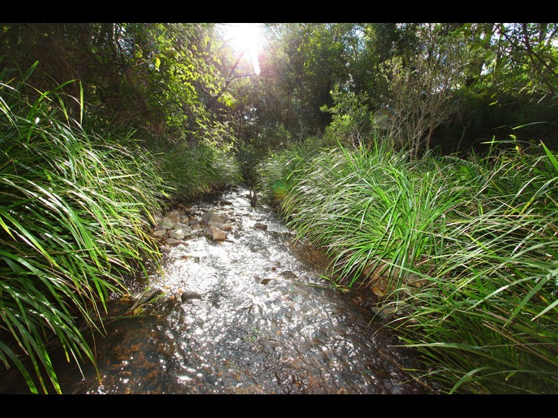 18 Belliss Road, Mount Nathan QLD 4211