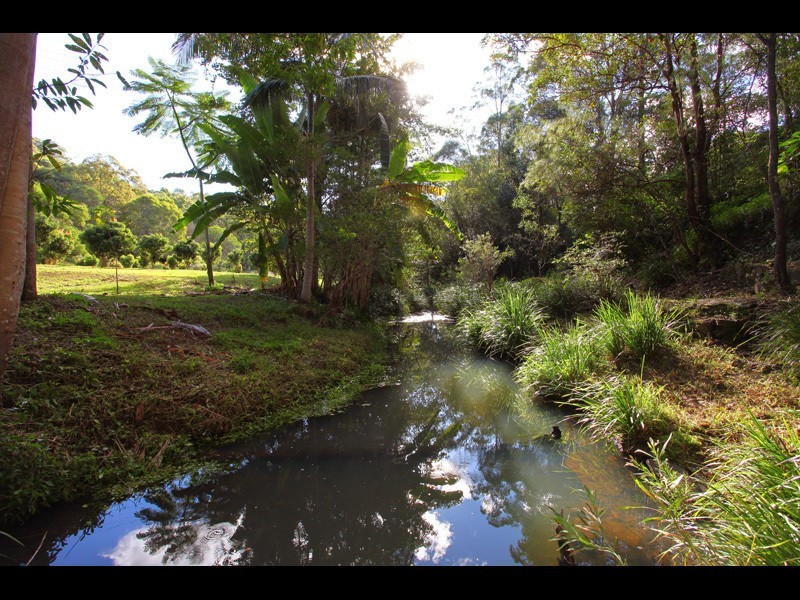 18 Belliss Road, Mount Nathan QLD 4211