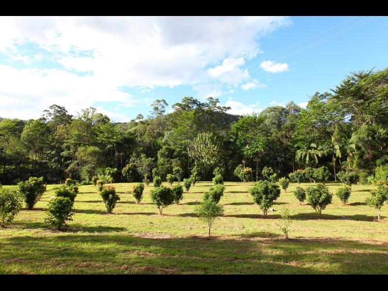 18 Belliss Road, Mount Nathan QLD 4211