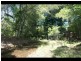 2311a Springbrook Road, Springbrook QLD 4213