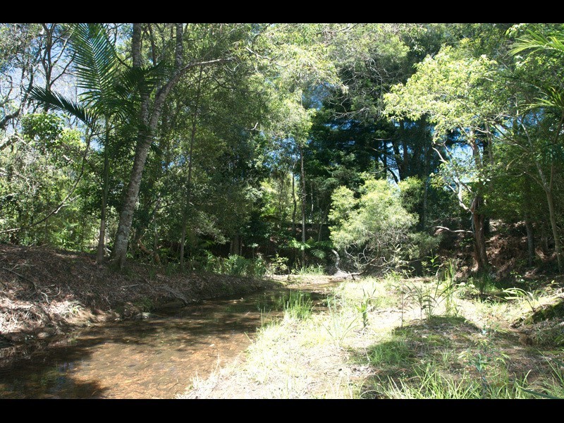 2311a Springbrook Road, Springbrook QLD 4213