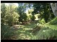 2311a Springbrook Road, Springbrook QLD 4213