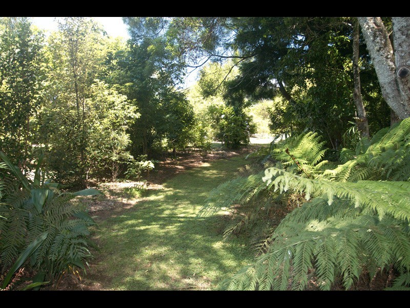 2311a Springbrook Road, Springbrook QLD 4213
