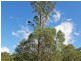 168 Country Crescent, Nerang QLD 4211