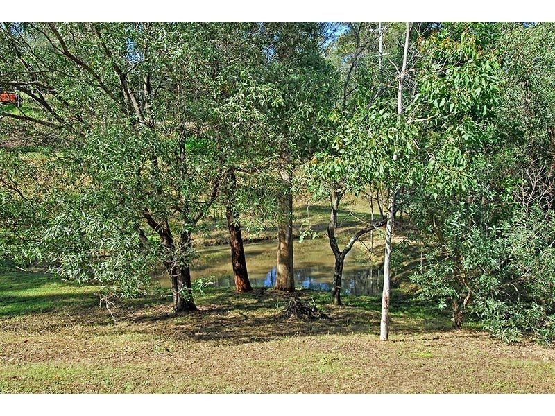168 Country Crescent, Nerang QLD 4211