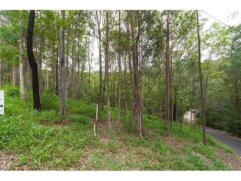 64 Hoop Pine Court, Advancetown QLD 4211