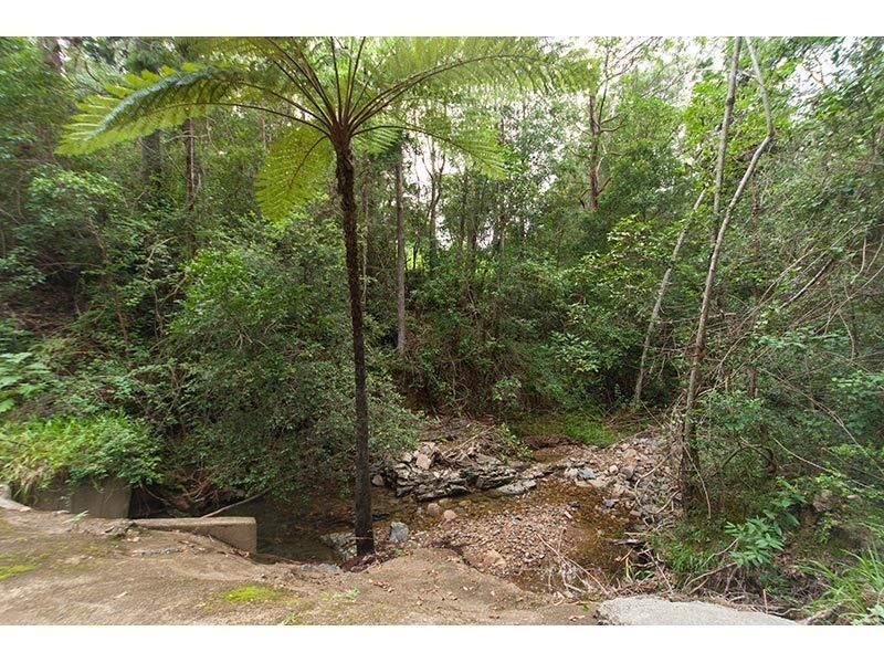 64 Hoop Pine Court, Advancetown QLD 4211